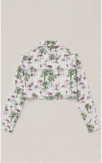 Blusa crop estampada de manga larga